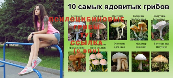 гидропоника Ахтубинск