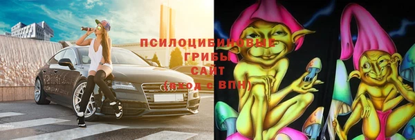 2c-b Заводоуковск
