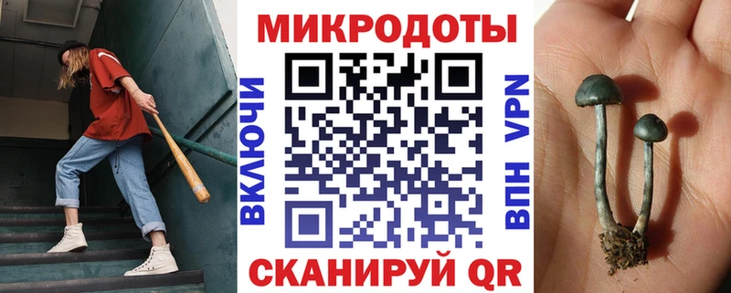hydra онион  Каргополь  Галлюциногенные грибы Magic Shrooms  где купить наркотик 