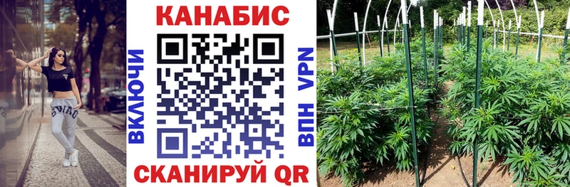 Бошки марихуана THC 21% Каргополь